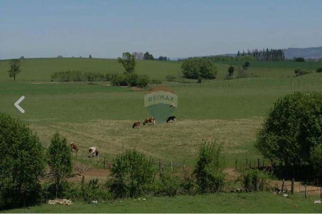 Parcela 5.000 m² camino a cunco km 22 vista llaima