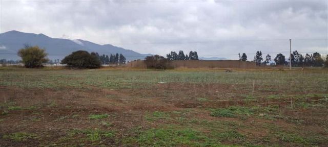 SITIO Por camino antiguo a Ovalle, Pan de Azucar.