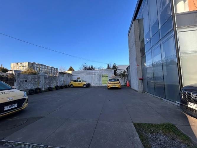 LOCAL COMERCIAL Massmann 499