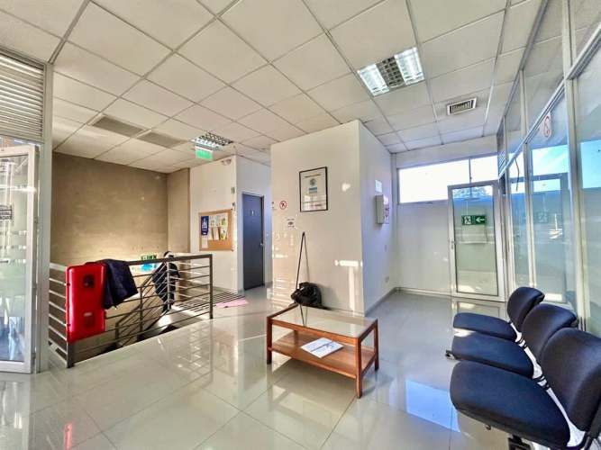 LOCAL COMERCIAL Massmann 499