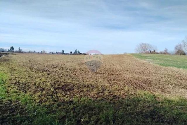 Parcela 5.000 m² camino a cunco km 22 vista llaima