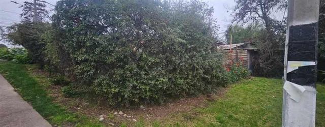 SITIO TAMARUGAL CON ANTOFAGASTA