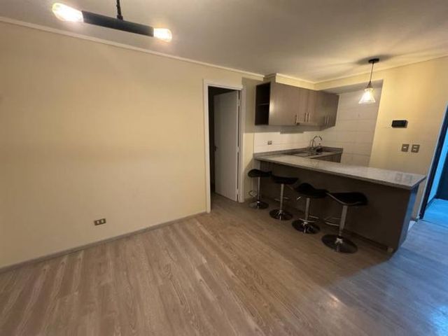 DEPARTAMENTO SOLINGEN, PLACERES