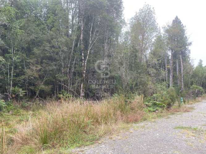 Con variada conectividad