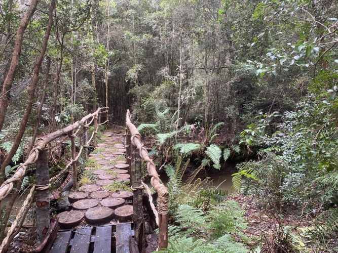 Con variada conectividad