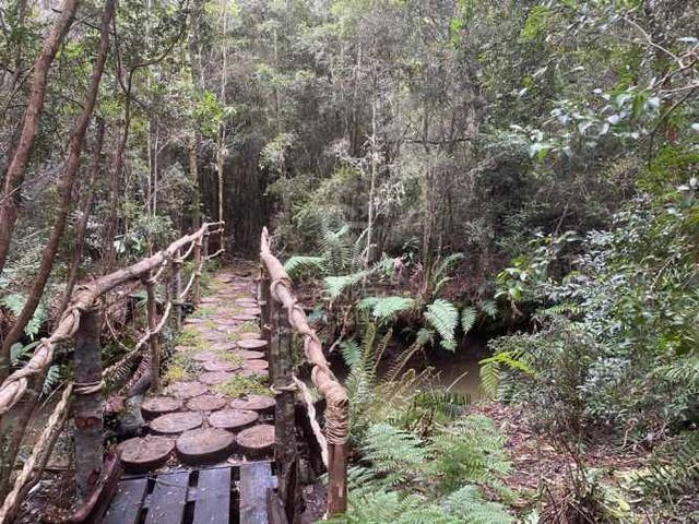 Con variada conectividad