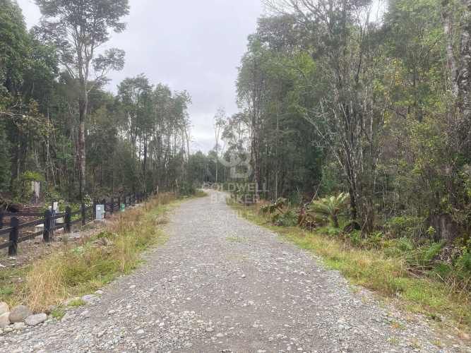 Con variada conectividad