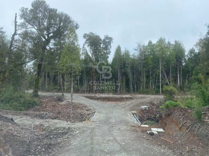 Con variada conectividad