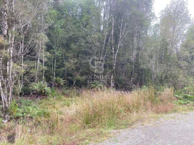 Con variada conectividad