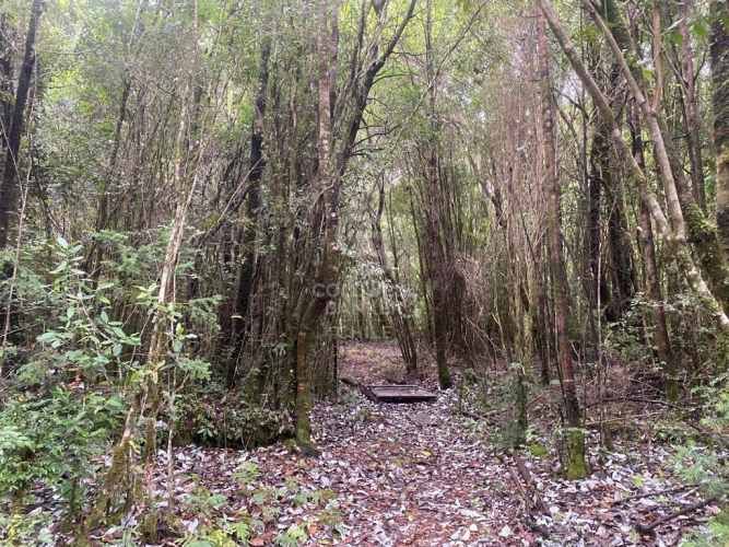 Con variada conectividad