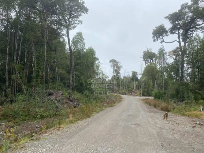 Con variada conectividad