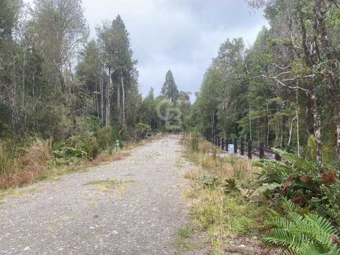 Con variada conectividad