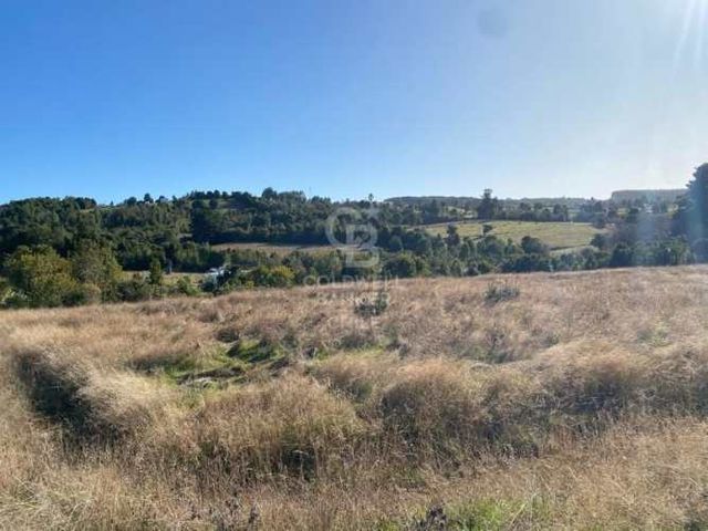 Últimas Oportunidades en un Oasis Natural