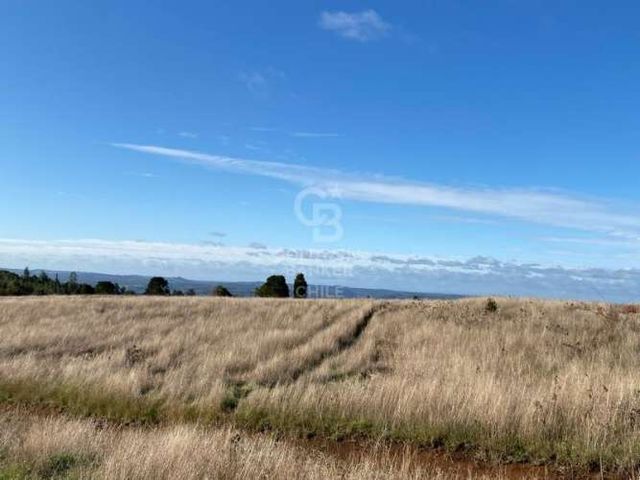 Parcelas Conexión Privada a Puerto Varas y Los Muermos