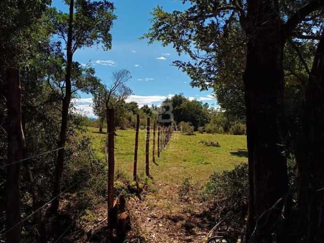 Privilegiado loteo frente al Mar | Chaitén