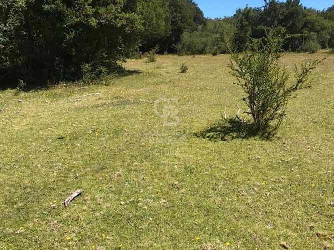 Privilegiado loteo frente al Mar | Chaitén