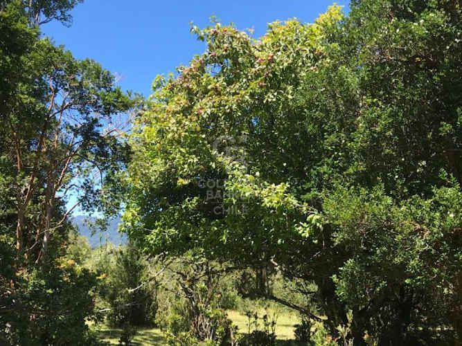 Privilegiado loteo frente al Mar | Chaitén