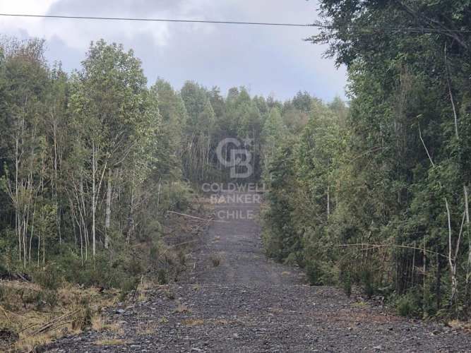 Parcelas en Venta en Río Pescado - Bosque Nativo