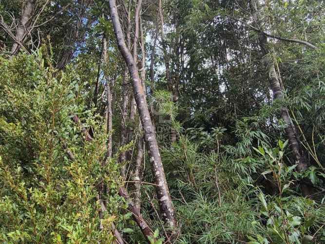 Parcelas en Venta en Río Pescado - Bosque Nativo