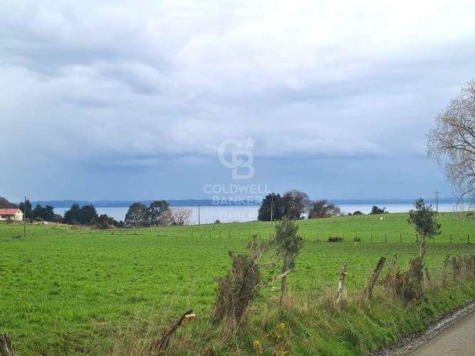 Parcelas en Venta en Río Pescado - Bosque Nativo