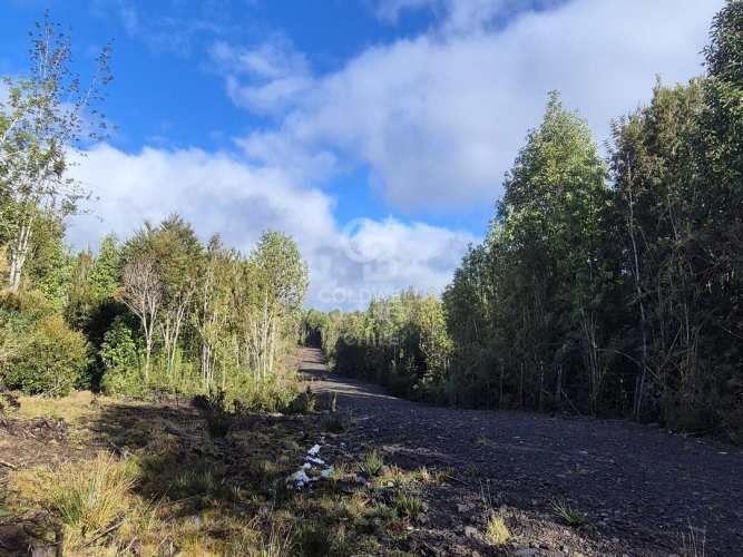 Parcelas en Venta en Río Pescado - Bosque Nativo