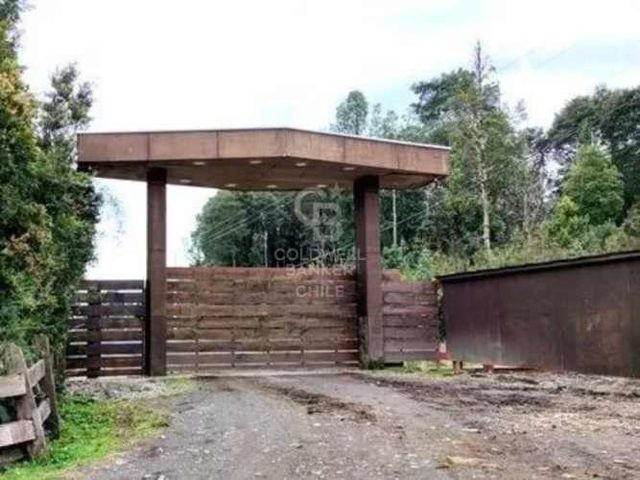 Entorno de bosques nativos | Buena Conectividad