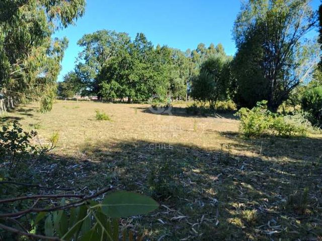 Parcela colonia la radio frutillar