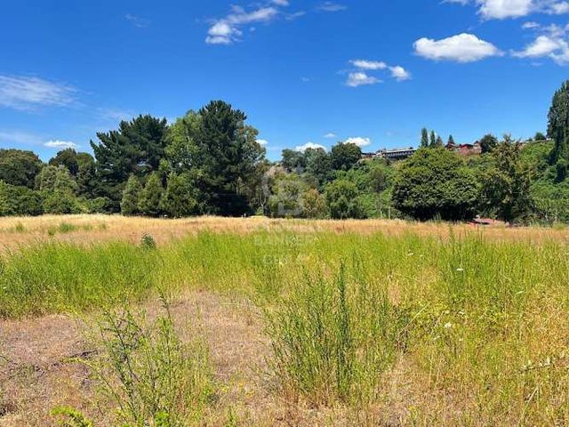 Excelente Sitio en Rio Bueno.