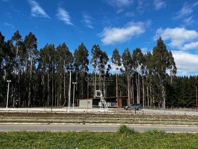 Parcela en Frutillar Alto frutillar