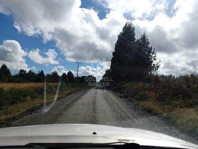 Hectárea en   Colonia La Poza