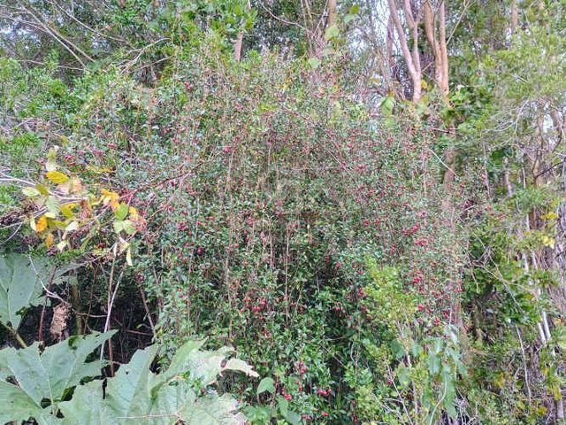 Oferta única en Ensenada