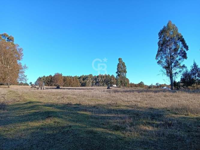 OPORTUNIDAD DE INVERSIÓN | TEGUALDA