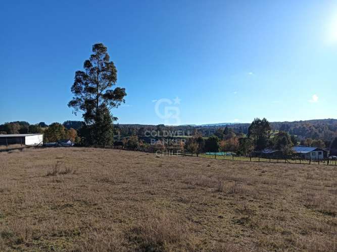 OPORTUNIDAD DE INVERSIÓN | TEGUALDA