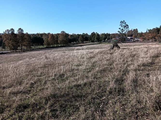 OPORTUNIDAD DE INVERSIÓN | TEGUALDA