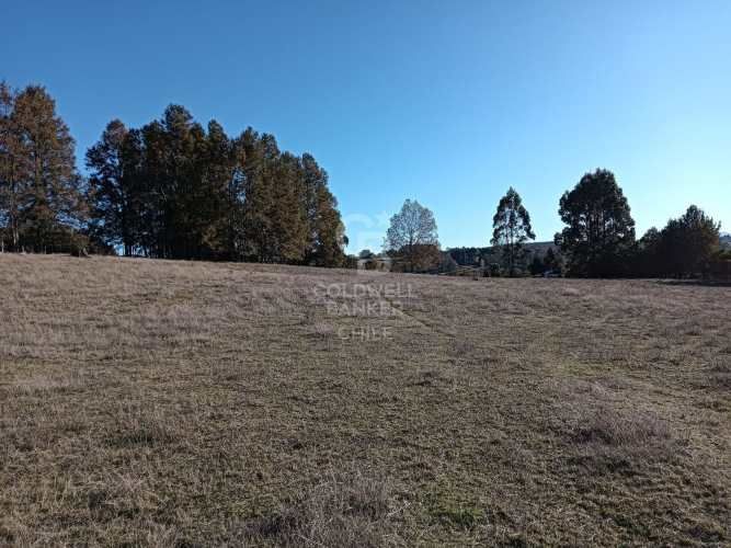 OPORTUNIDAD DE INVERSIÓN | TEGUALDA