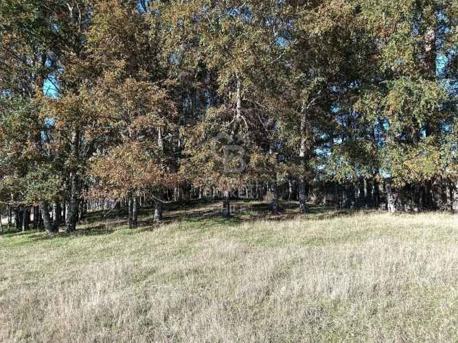 OPORTUNIDAD DE INVERSIÓN | TEGUALDA