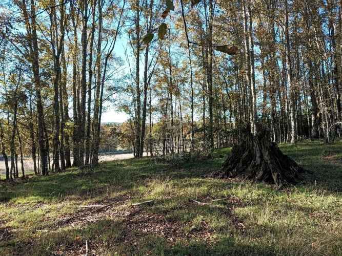 OPORTUNIDAD DE INVERSIÓN | TEGUALDA