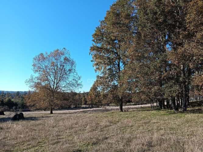 OPORTUNIDAD DE INVERSIÓN | TEGUALDA