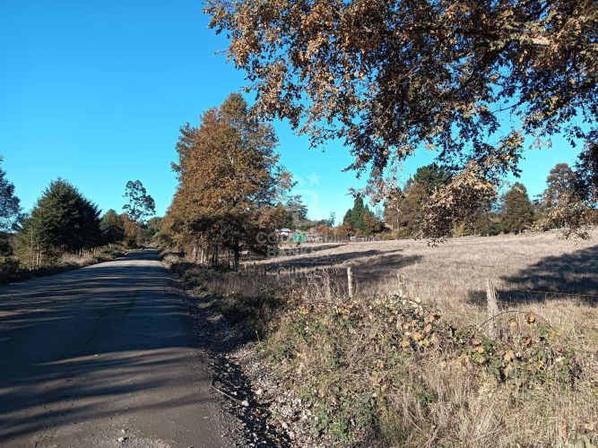 OPORTUNIDAD DE INVERSIÓN | TEGUALDA