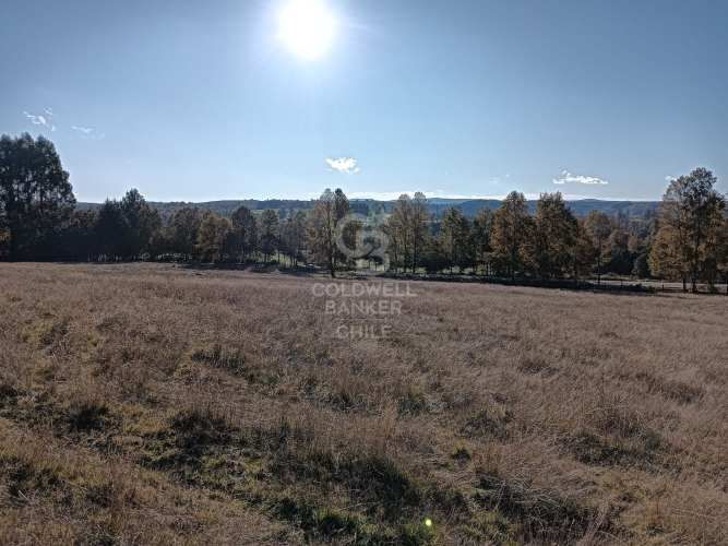 OPORTUNIDAD DE INVERSIÓN | TEGUALDA