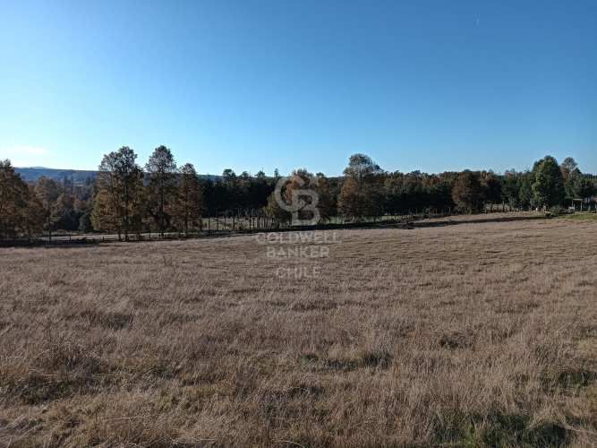 OPORTUNIDAD DE INVERSIÓN | TEGUALDA