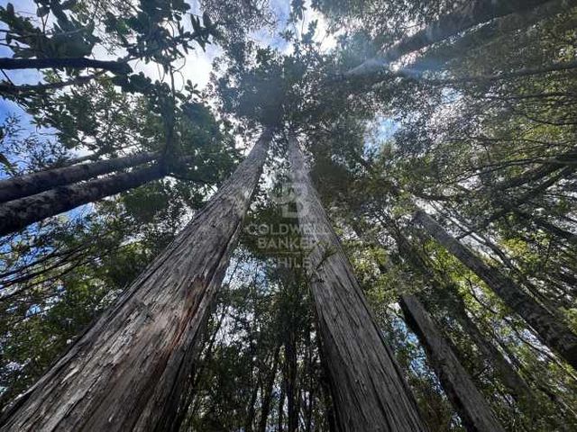 Parcela 1Ha sector Río Blanco, cerca de Lago Chapo