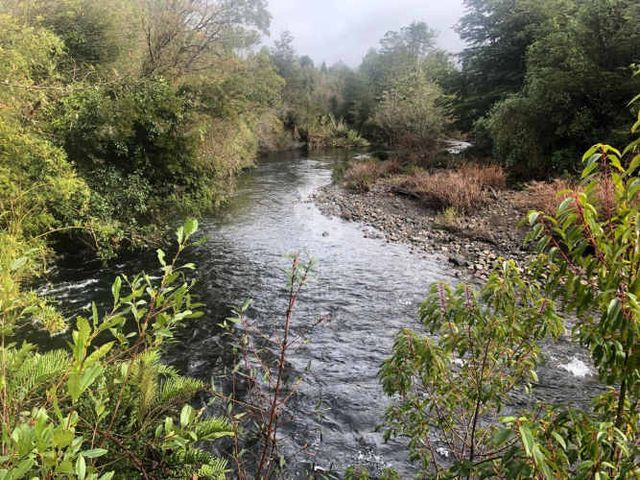 Rebajadas!!! 2 Parcelas de 1ha a metros del Río Pescado.