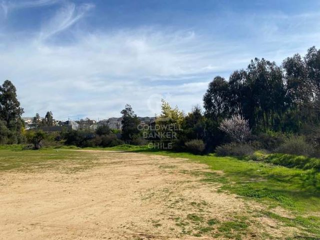 Terreno listo para Proyecto habitacional