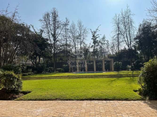 La Luma - El Tamarugo