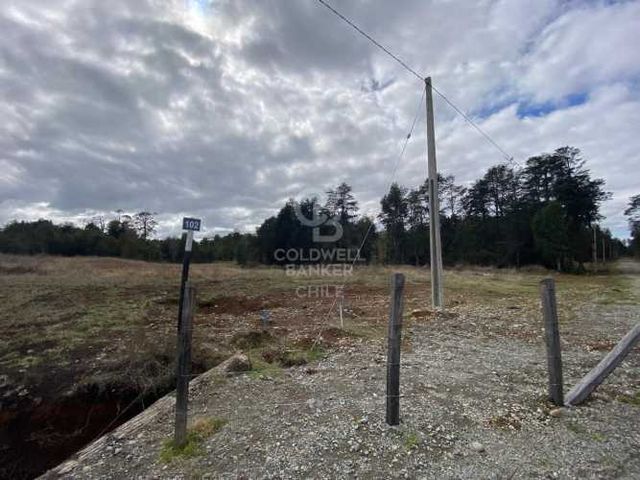 Parcela Nueva Braunau-Puerto Varas