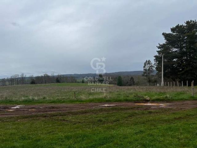 Predio de 21,5 hectáreas con potencial inmobiliario Osorno