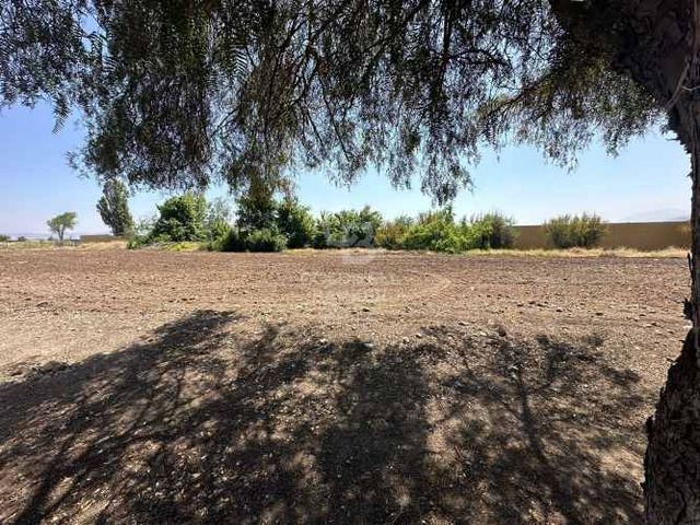 Sitio- Las Brisas de Chicureo-Colegio Highlands, Trewhela´s