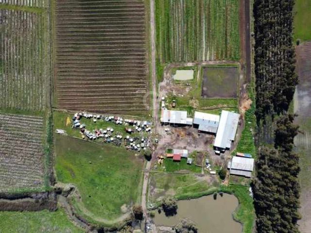 Terreno 110 Ha Orilla de Carretera Bulnes, Bío Bío