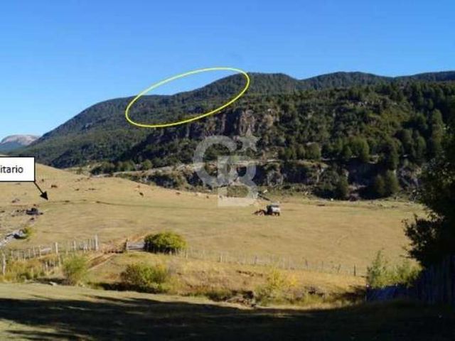 Venta Bosque Nativo 14,6 ha, Reserva Nacional Río Simpson